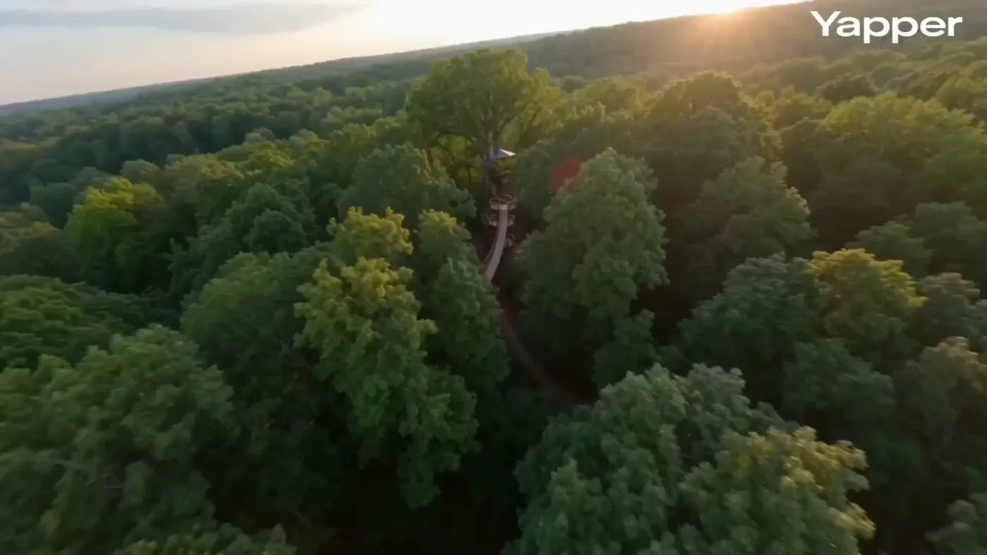 Golden hour forest treehouse fpv flight — Sonra