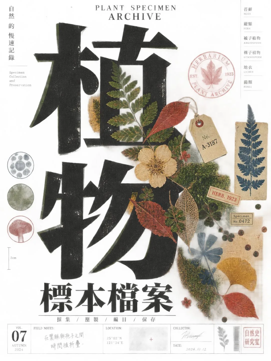 Experimental print culture magazine cover — Sonra
