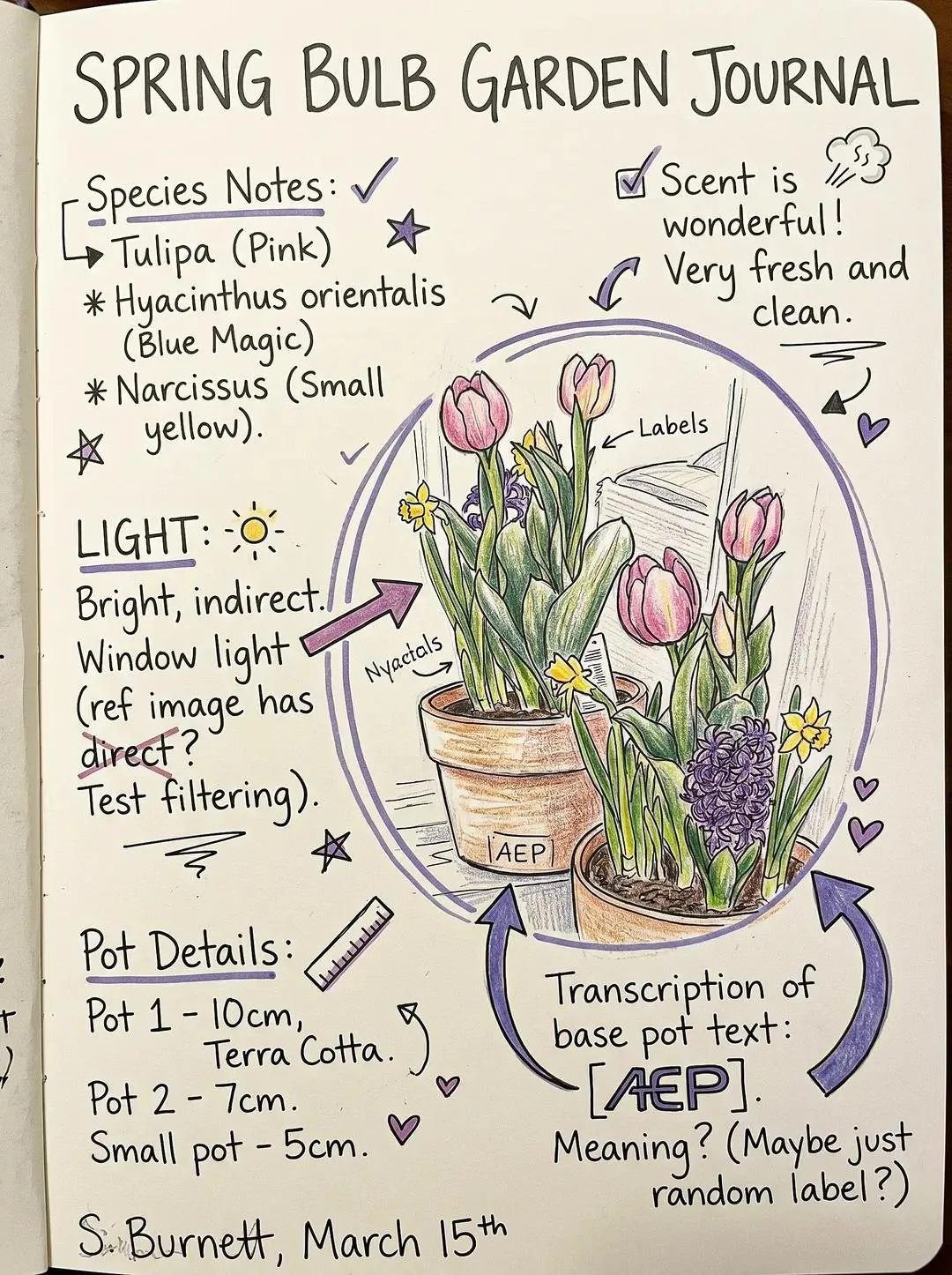 Messy handwritten notes composition guide — Sonra