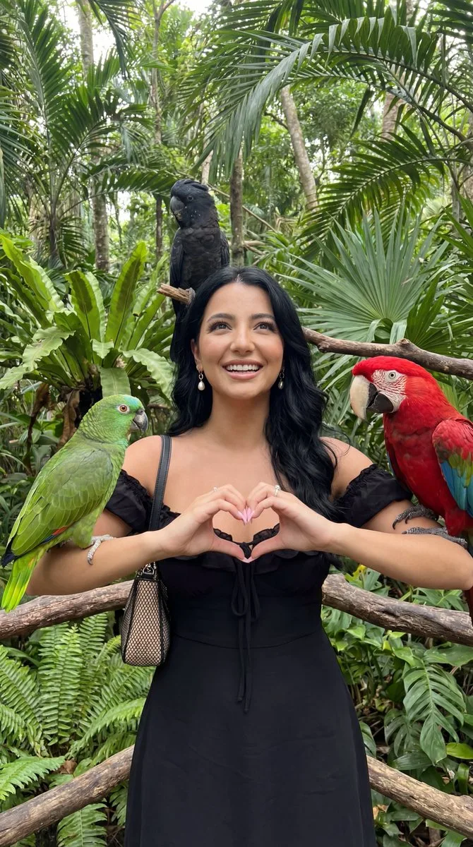 Beautiful tropical aviary girl parrots — Sonra