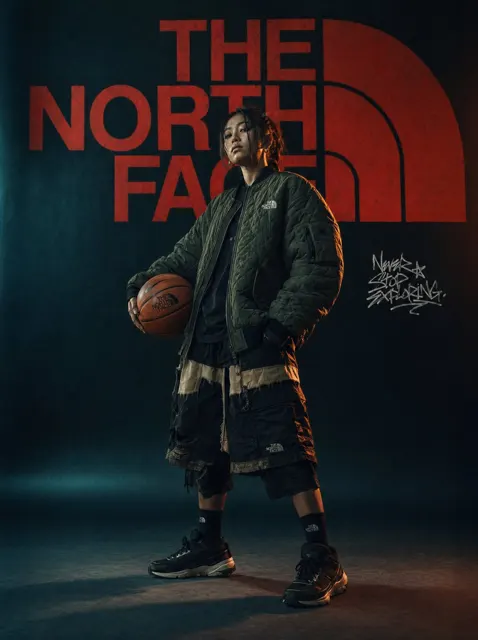 Urban streetwear north face