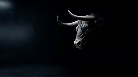 Lamborghini bull awakening commercial