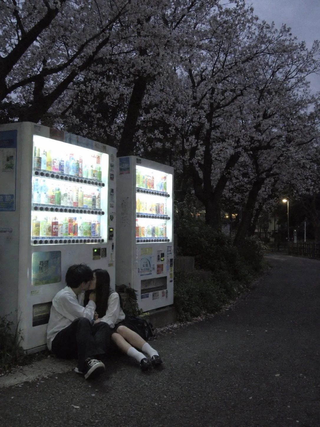 Lofi evening cherry blossom park kiss vending machine — After