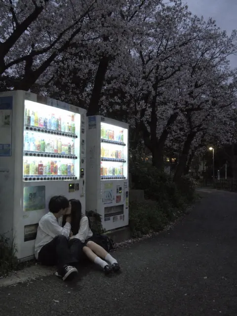 Lofi evening cherry blossom park kiss vending machine