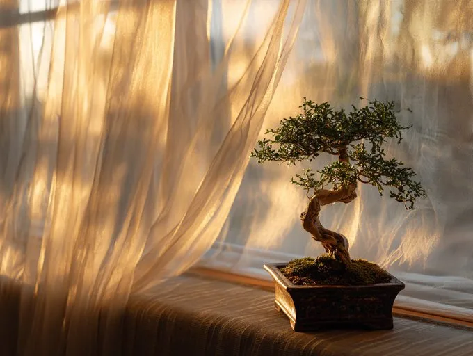 Soft morning golden light — After