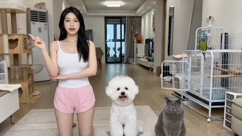 Cute pets acting for food