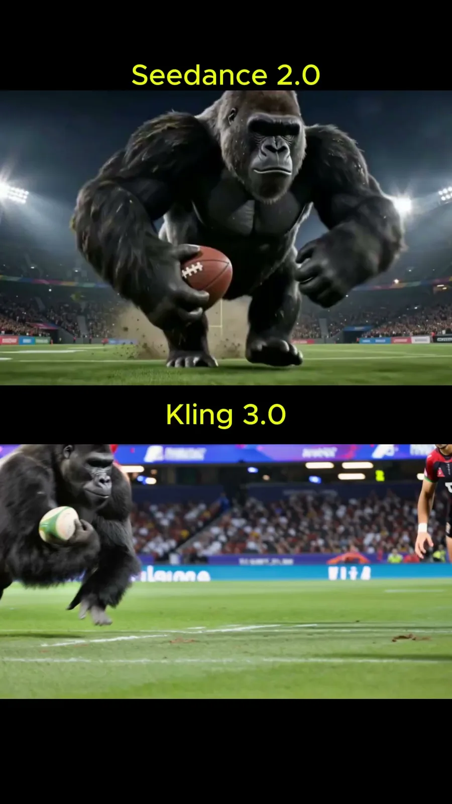 Intense rugby showdown gorillas vs humans — Sonra