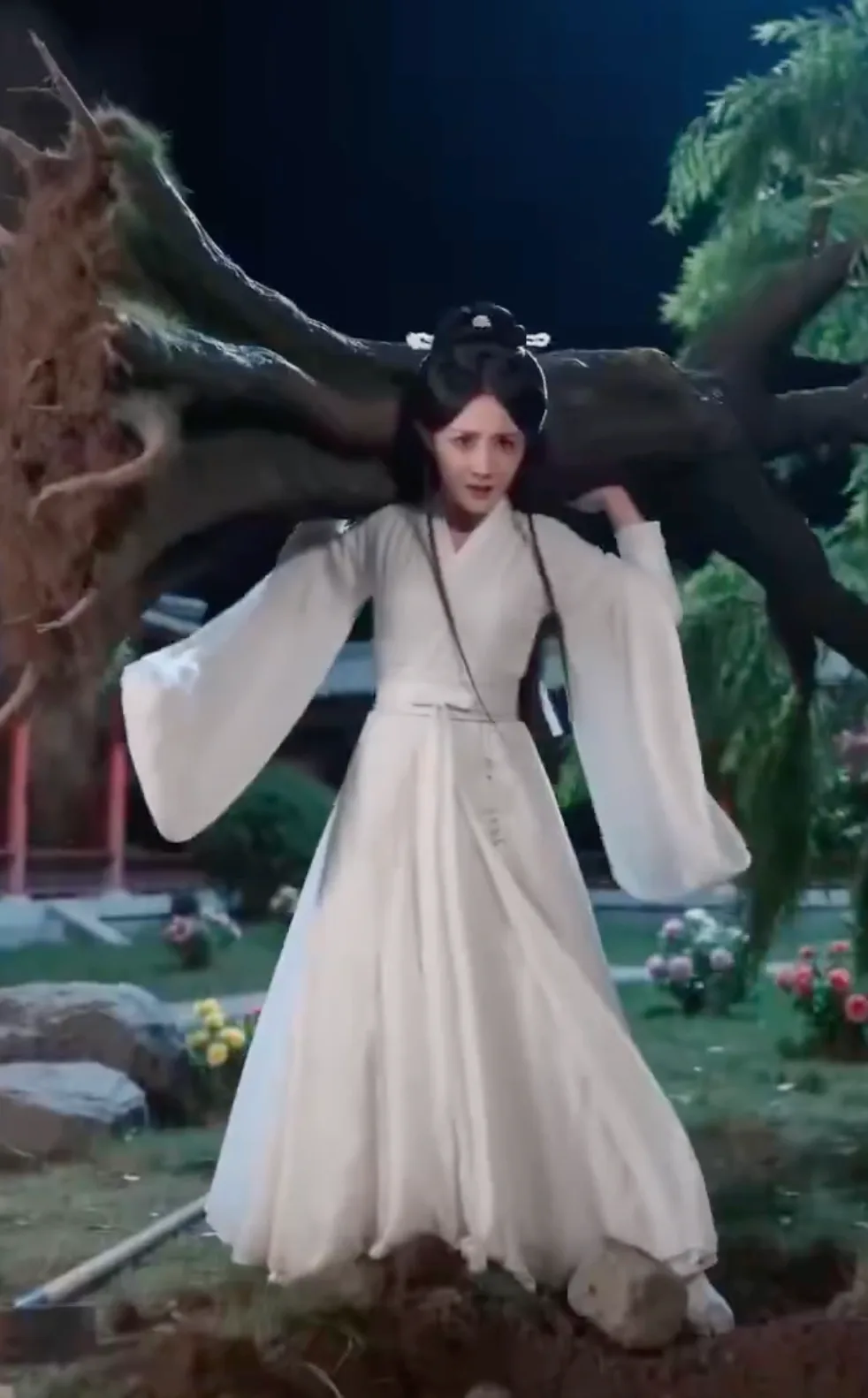 Hanfu beauty tree pulling contrast — After