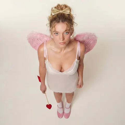 Soft pink wings coquette cupid
