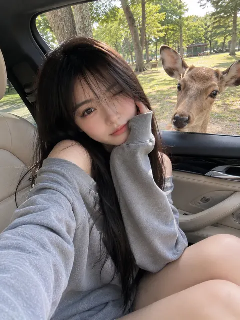 Japanese girl luxury car deer smartphone photo