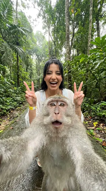 Funny monkey photobomb jungle selfie