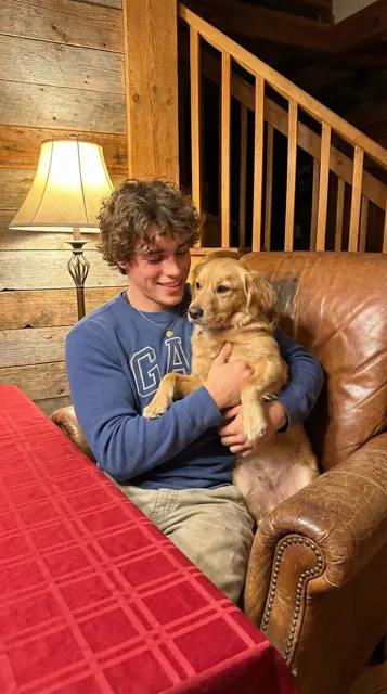 Warm light golden retriever