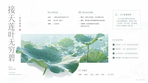 Minimalist high end commercial lotus poster