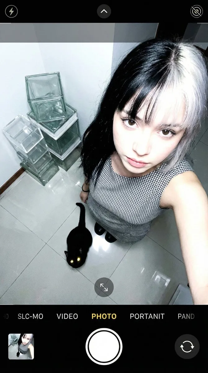 High angle girl black cat — Sonra