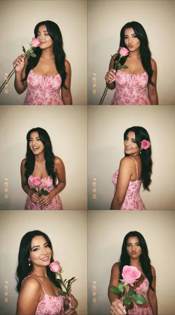 Pink dress film rose diary