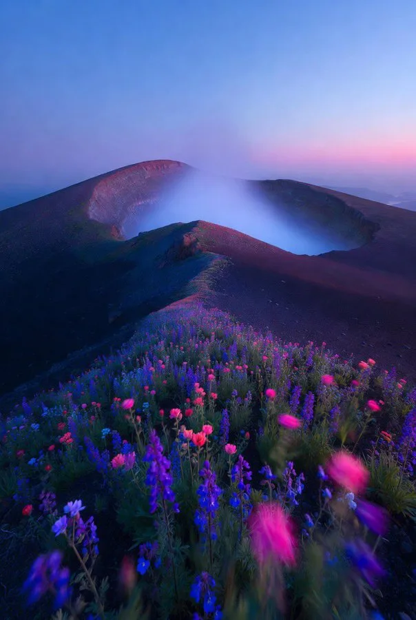 Dreamy neon flower volcano golden hour — Sonra