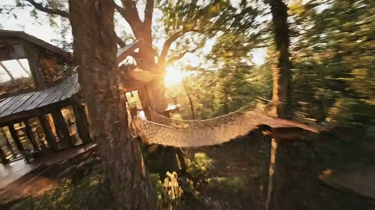 Cinematic treehouse flight at golden hour — Sonra