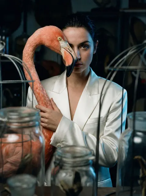 Dark taxidermy flamingo illusion