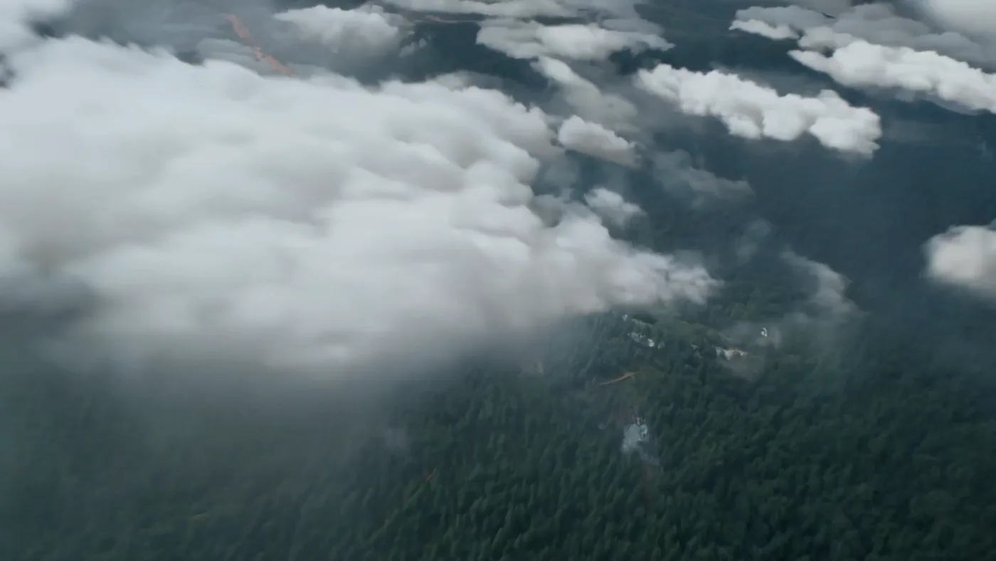 Rainforest rafting log flood race — Sonra