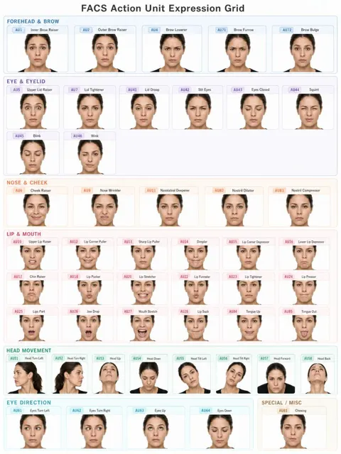 Facs action unit expression grid for adult female