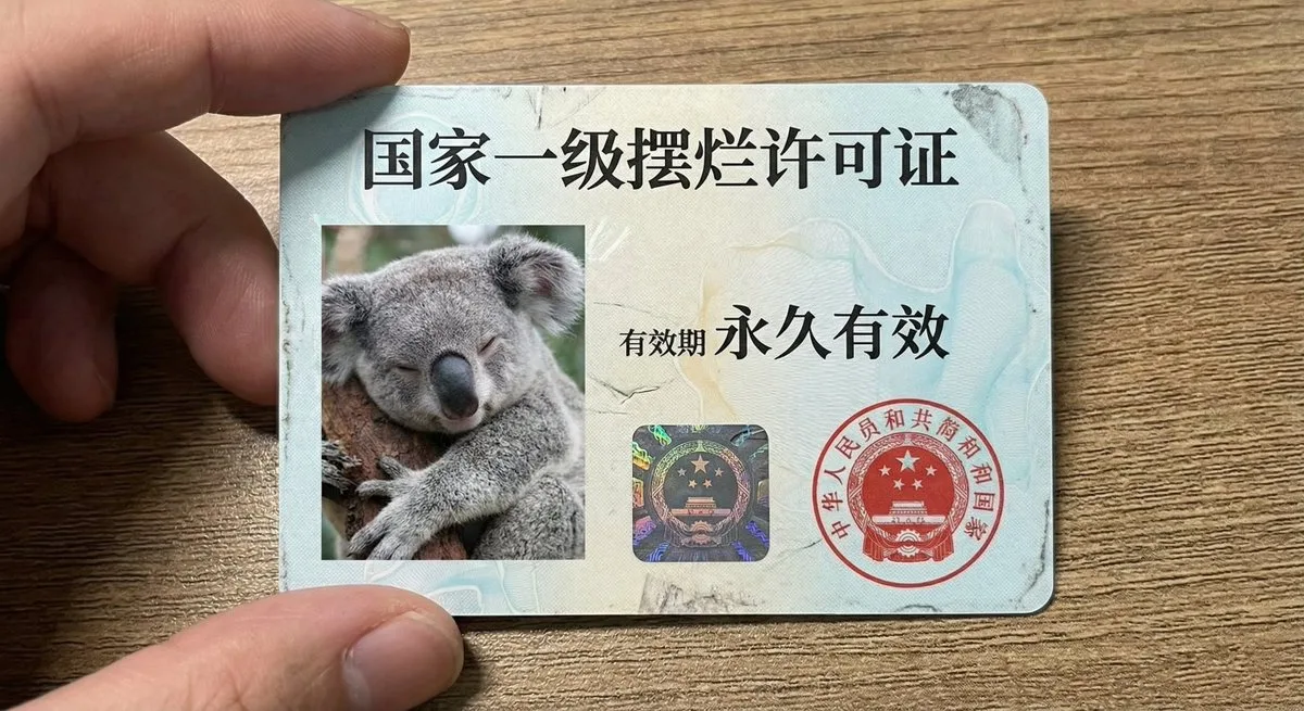 国家一级摆烂许可证 — After