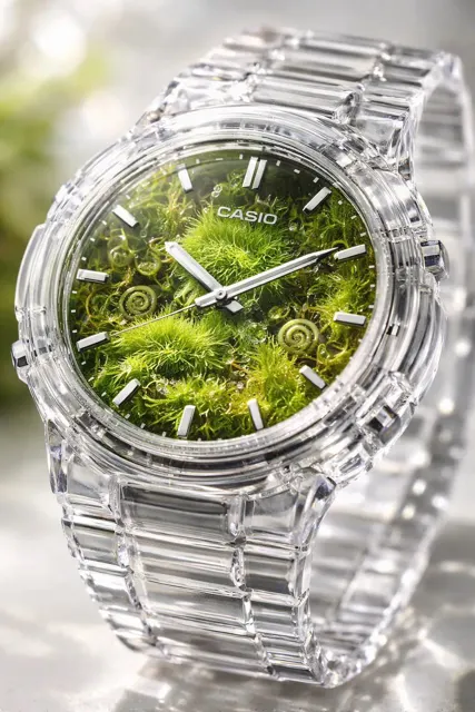 Transparent crystal watch oasis
