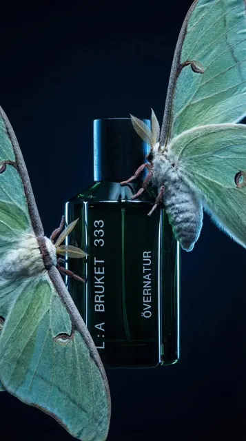 Luxury perfume mystical forest