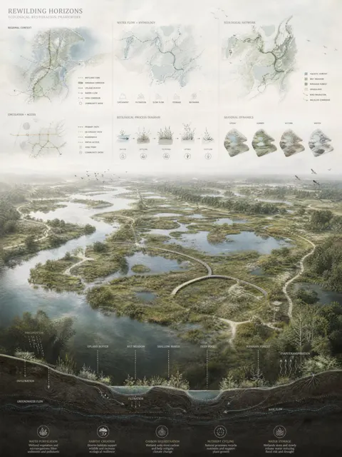 Competition landscape presentation board