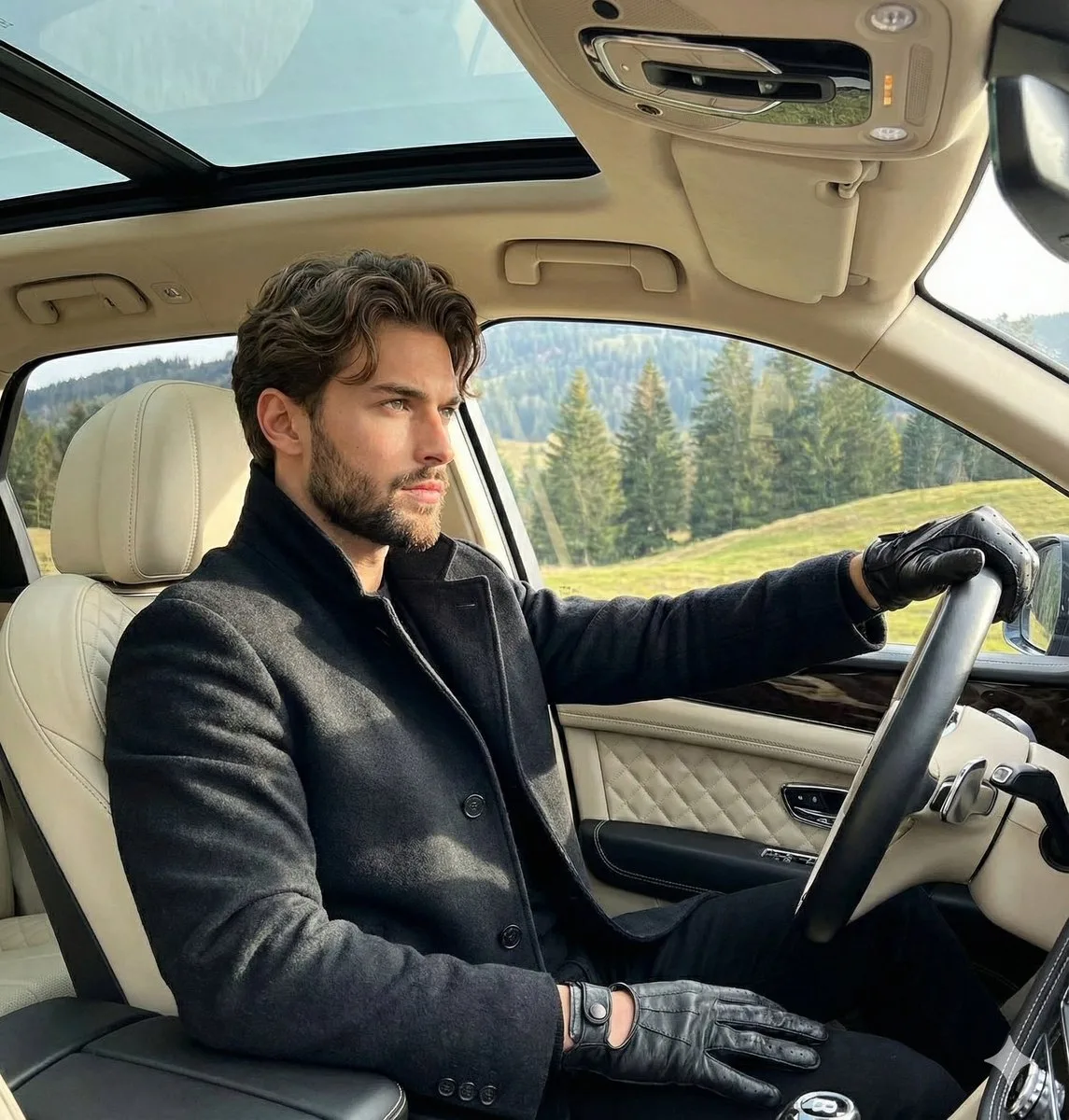 Luxury suv young gentleman — After
