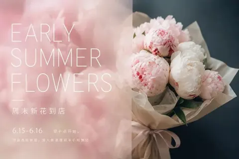 Flower shop peony soft focus poster design