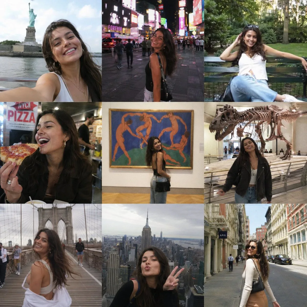 New york nine grid snaps — Sonra