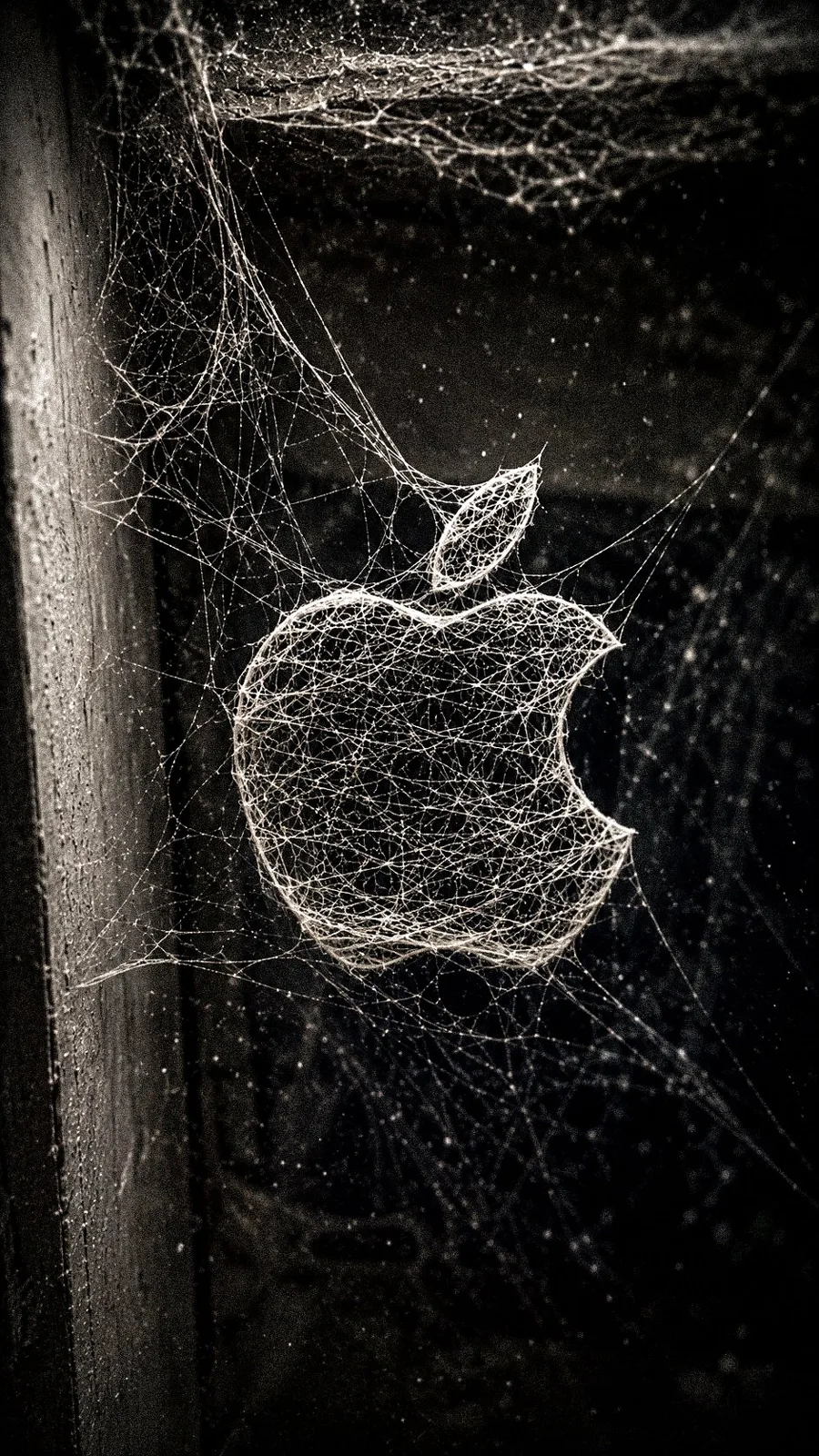 3d spider web logo cinematic lighting — After