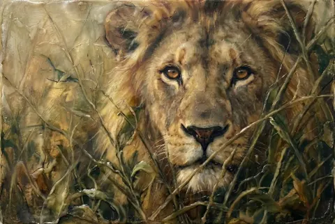 Hidden lion in jungle